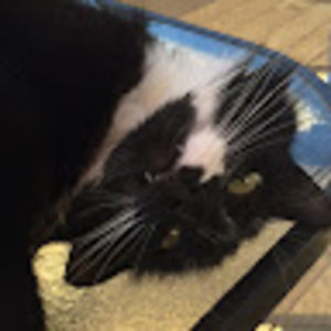 Meet your Posher, Kendall